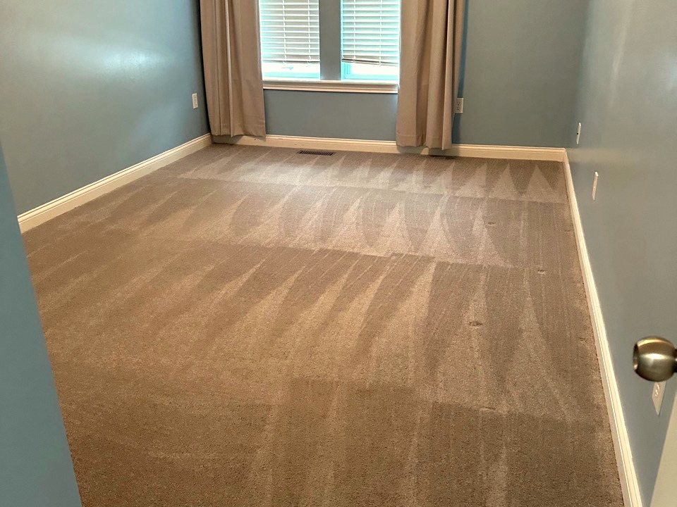 Move In and Move Out Cleaning